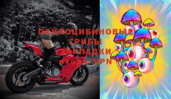 марки lsd Абаза