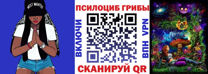Галлюциногенные грибы Cubensis  Чекалин 