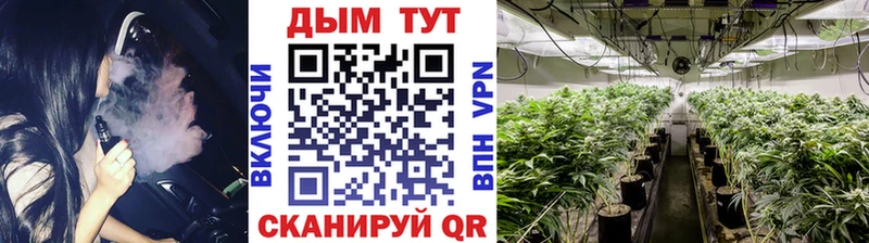 Конопля план  mega ССЫЛКА  Чекалин  наркошоп 